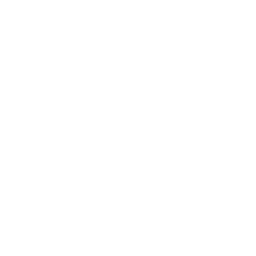 PaddleOCR logosu