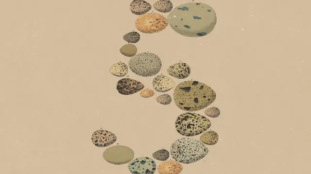 Anthropic, Opus 5 Yapay Zekâ Modelini Duyurdu