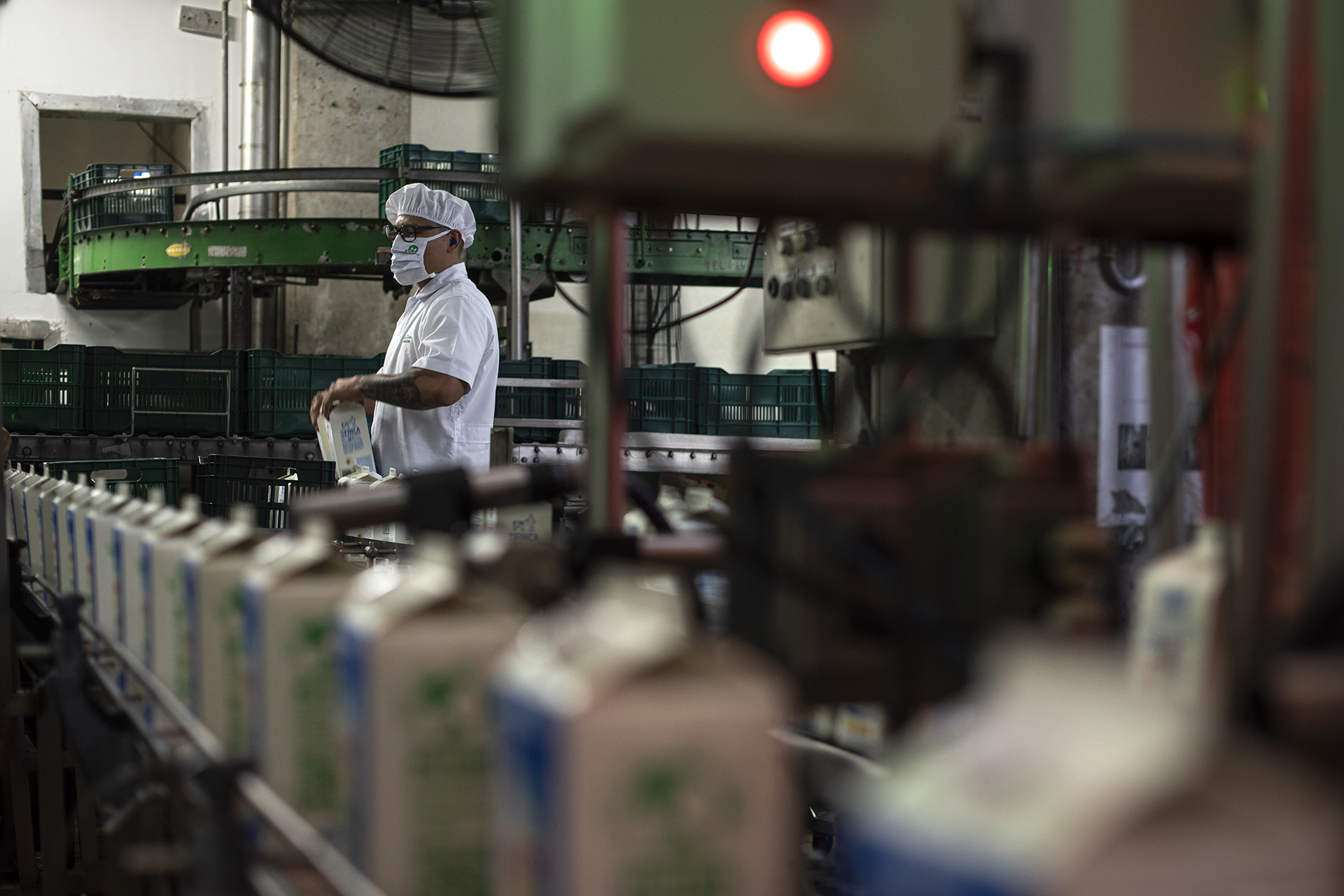 Costa Rican dairy cooperative turns AI agents into coworkers