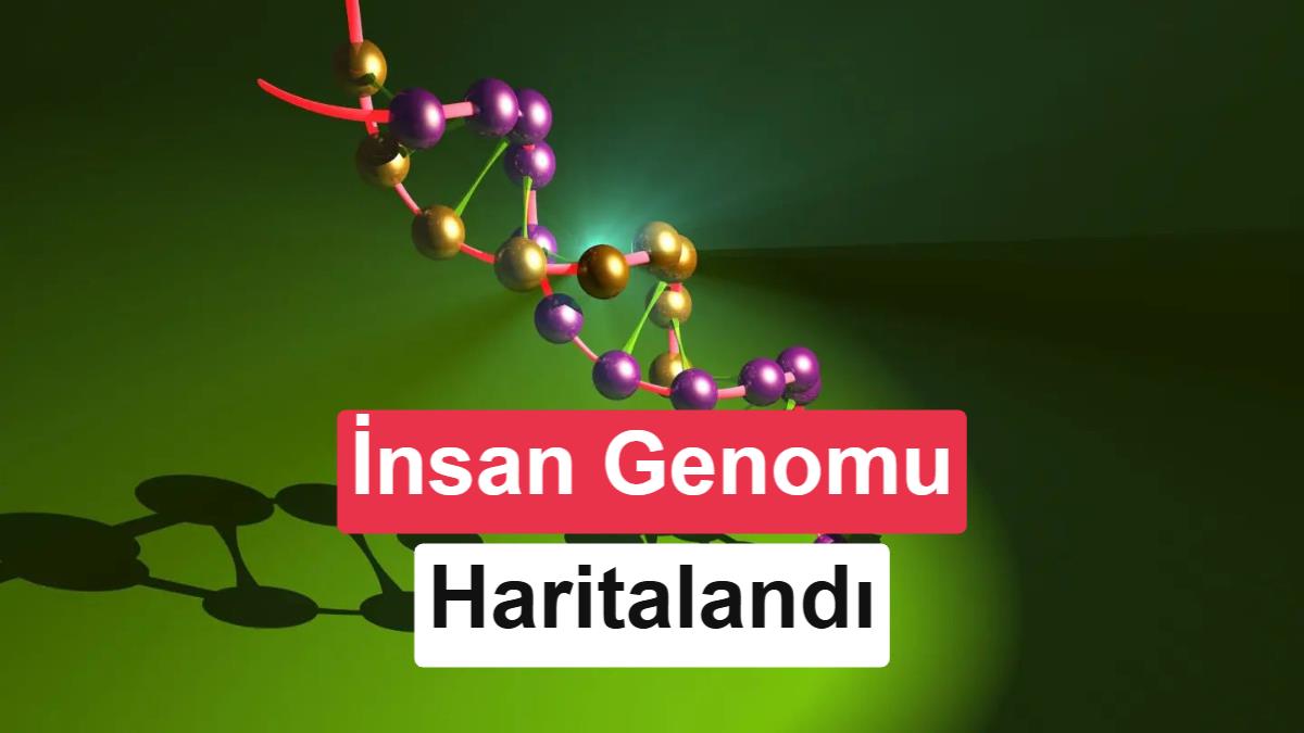 Google DeepMind, insan genomundaki 9 milyar mutasyonu yapay zekâ ile haritaladı