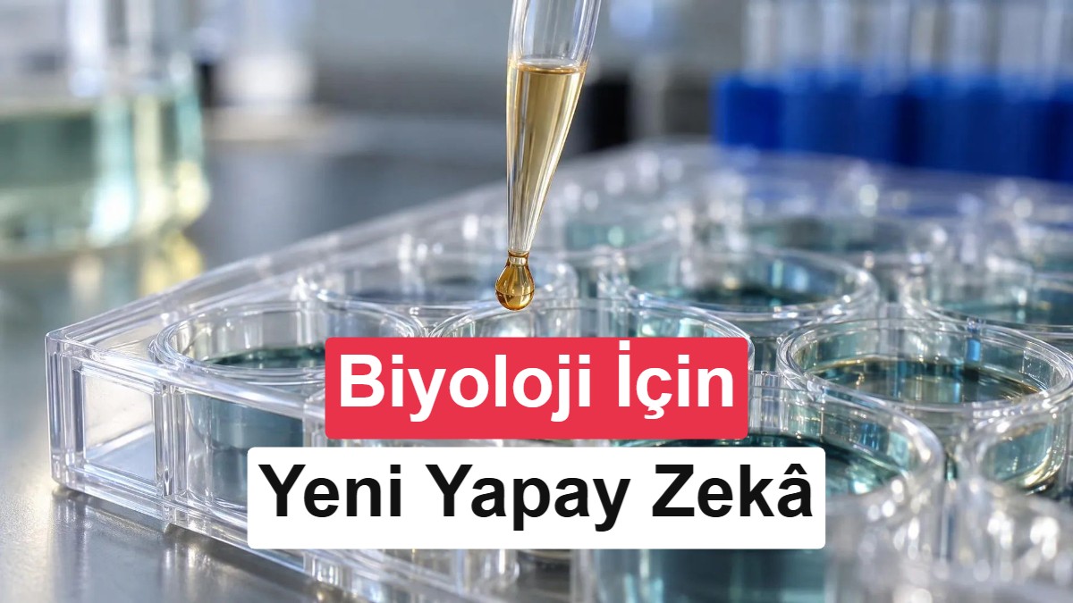 Microsoft, biyoloji için geliştirdiği yapay zekâ modeli Quine'yi tanıttı